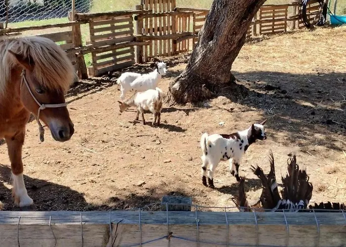 Wohnheim Heaven 53r By Interhome Apartamento